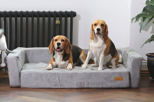 Smart Sofa - Smart pet beds