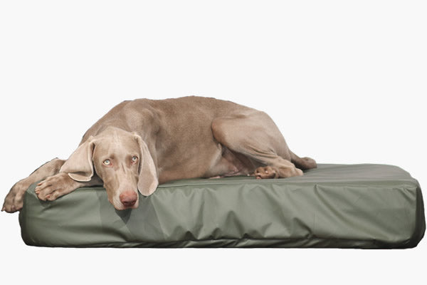 Protector Covers - Smart pet beds